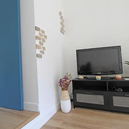 Studio Avec Jardin Et Terrasse *